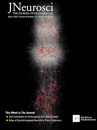 The Journal of Neuroscience May 2020 Cover. Rendering of a full-scale biophysically detailed model of a cortical column.