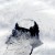 PineIslandGlacier2013-Nov.10.jpg