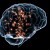 Neural1.jpg