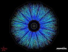 BNL RHIC Gold Ions Collisions