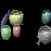 Digital visualization of a CryoET machine learning simulation