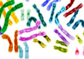 genome