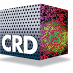CRD CUBE dropshadow transparent